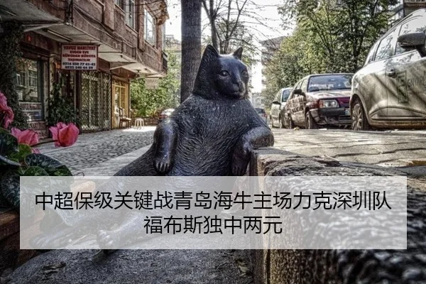 中超保级关键战青岛海牛主场力克深圳队福布斯独中两元