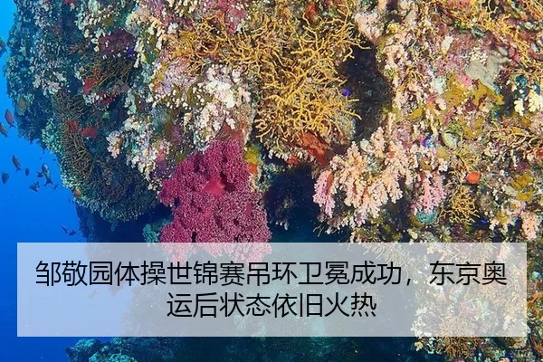zou-jing-yuan-ti-cao-shi-jin-sai-diao-huan-wei-mian-cheng-gong-dong-jing-ao-yun-hou-zhuang-tai-yi-jiu-huo-re-3-878.jpg